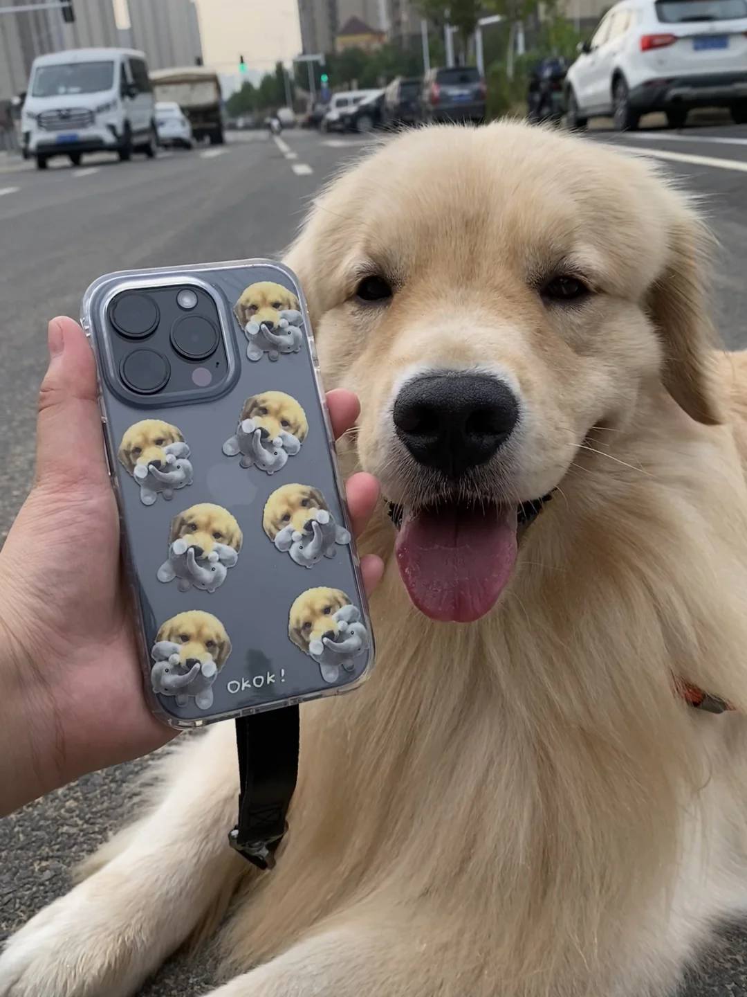 谁懂啊 我妈妈把我印手机壳上啦