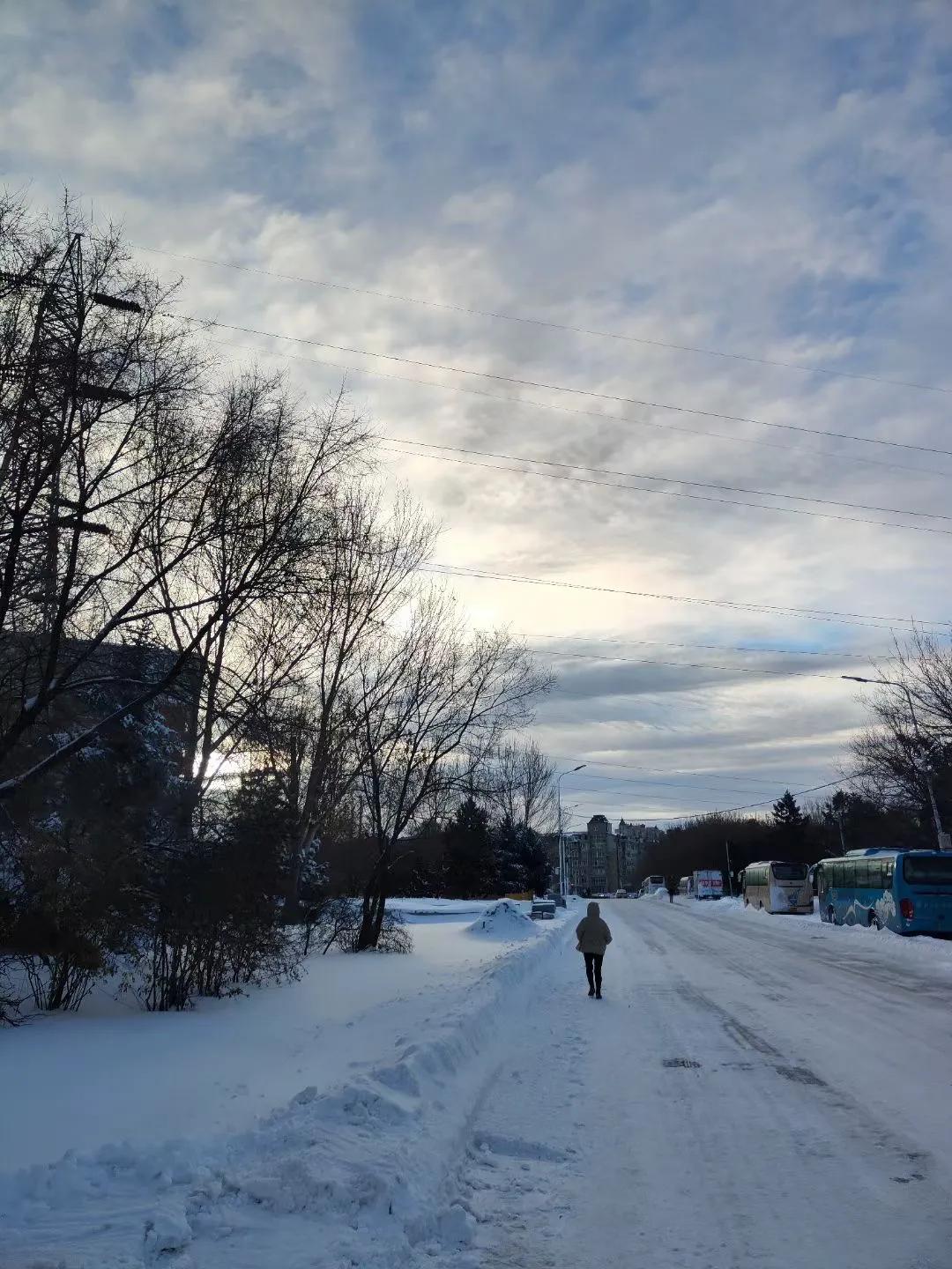 在我们东北，第一场雪只要是下了，那铁锅炖大鹅就必须安排上，这是一种习俗，也是东北