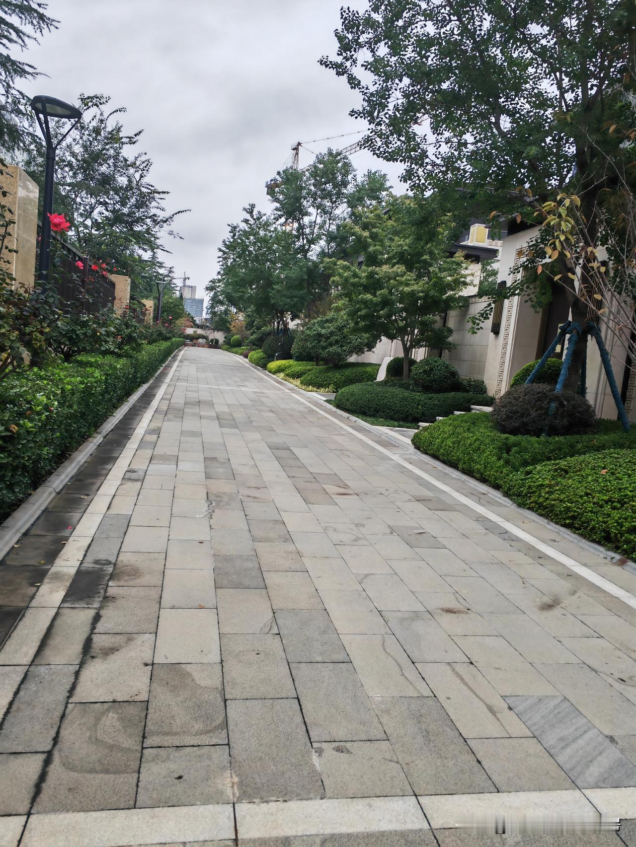 买房子选楼层，真跟开盲盒似的。我搬过四次家，踩过不少坑，总结出几个黄金楼层。
带