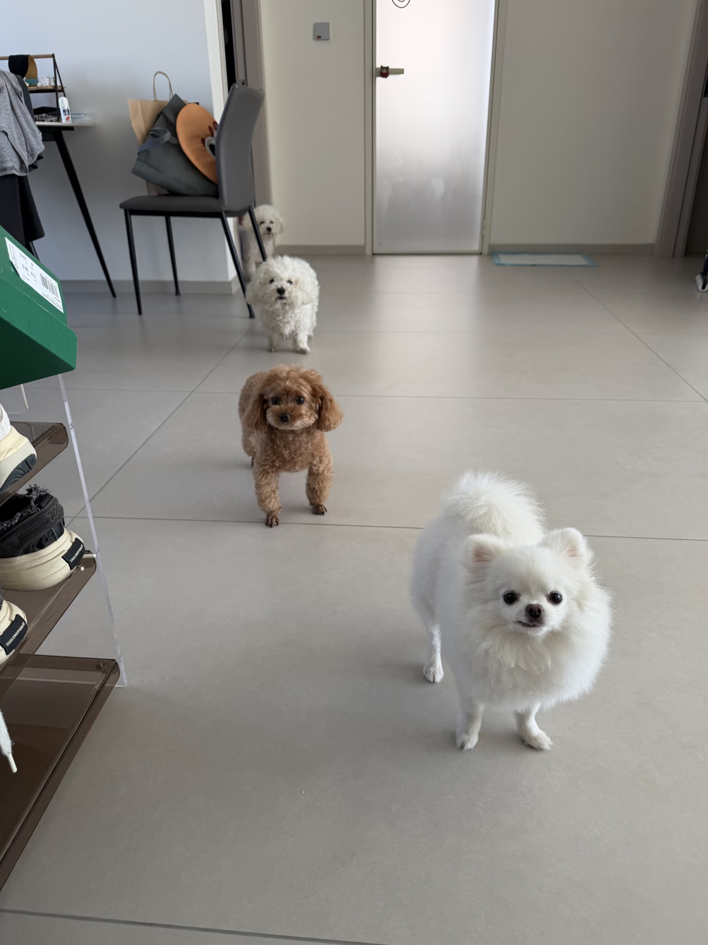 就算出门十分钟也要列阵目送 
