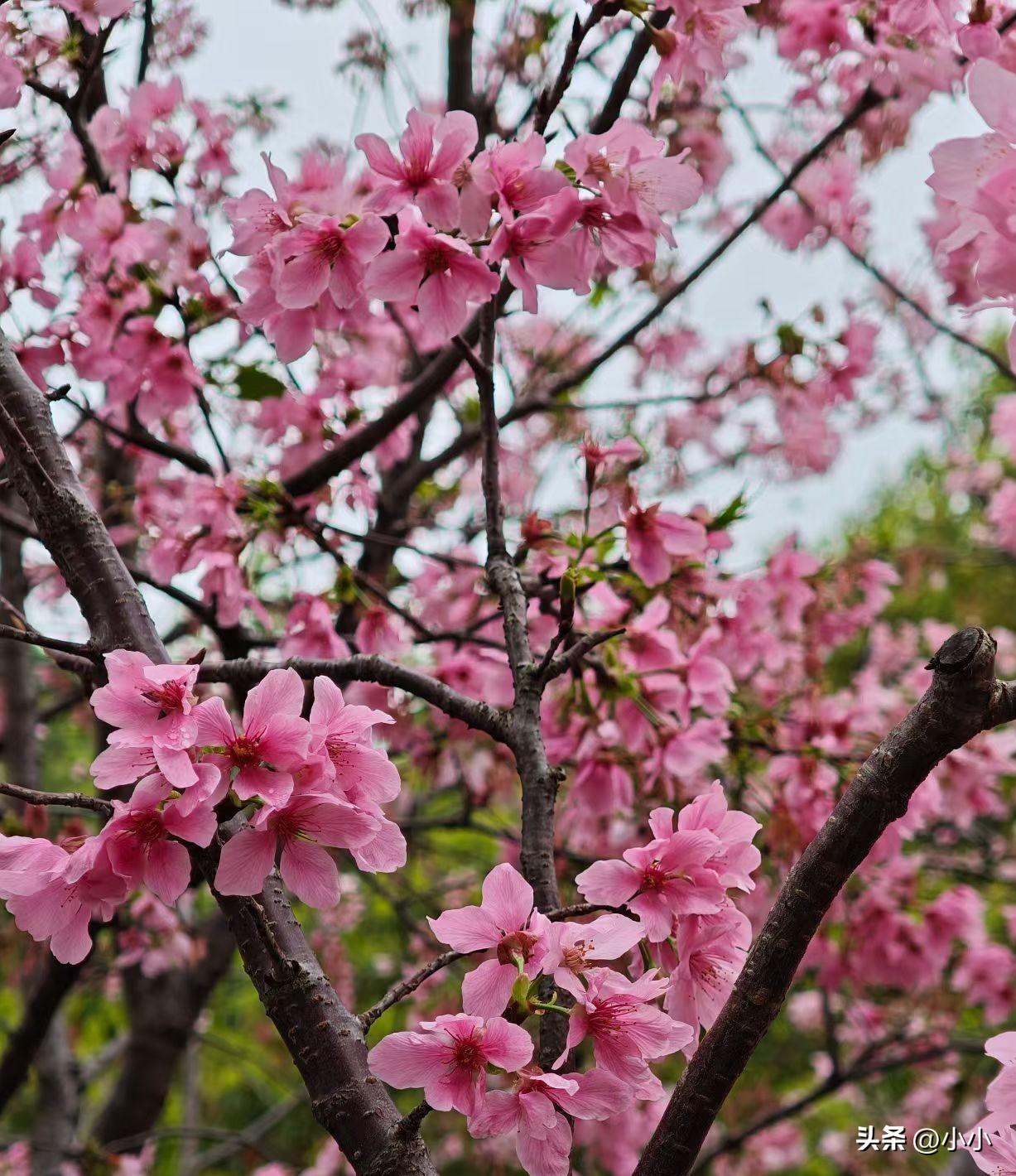 假如你没有了收入，第一个给你兜底的人，是谁？

很多人忙忙碌碌，以为自己撑着一片