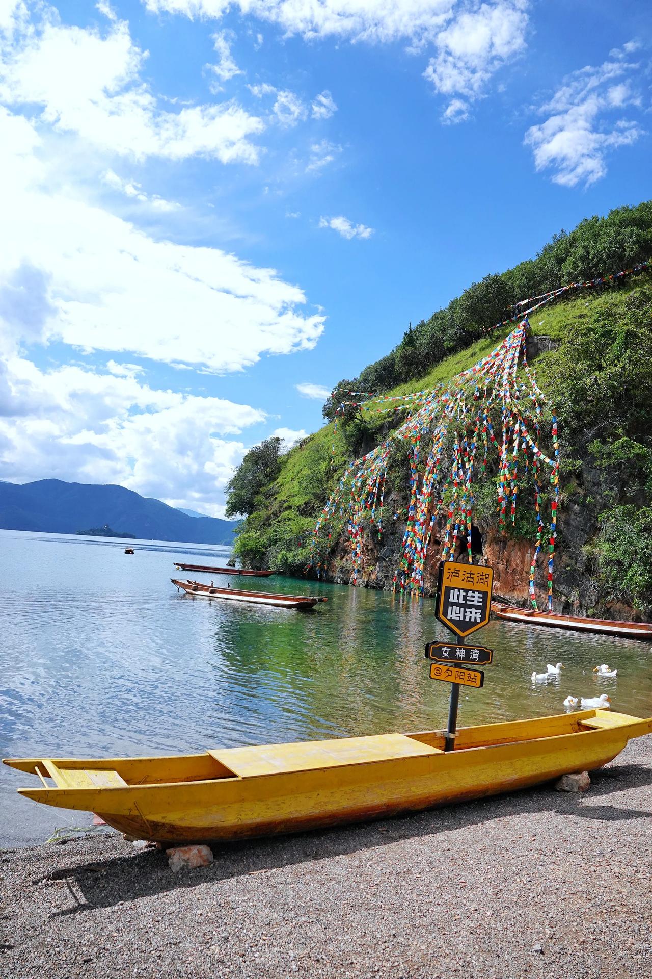 群鸭戏水图，#孔雀河边的美景# #湖下美景# 
#湖景真实图片# #湖远行图文#