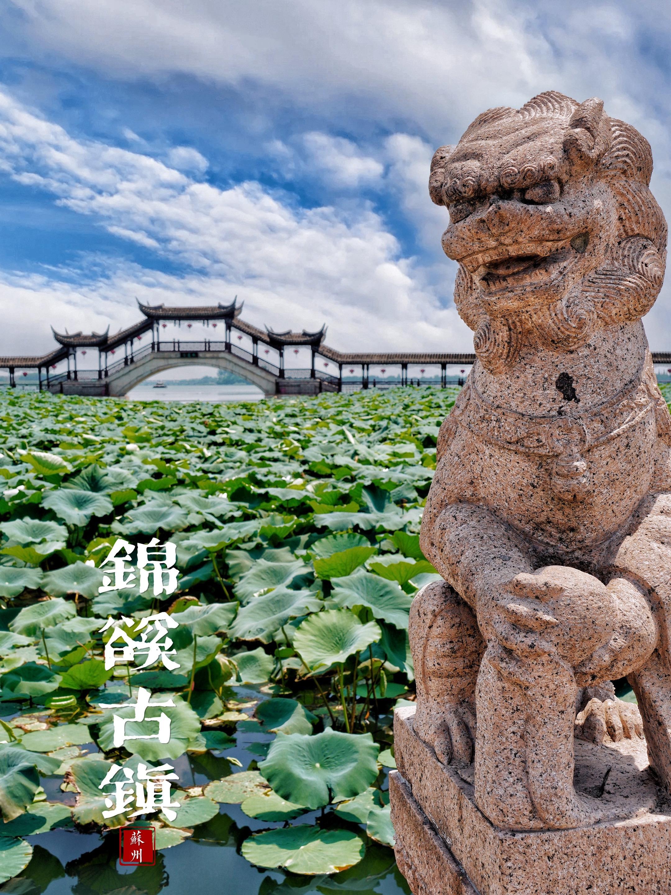 36座桥72个窑 2500多岁的锦溪古镇 我太爱了  马头墙，石拱桥...