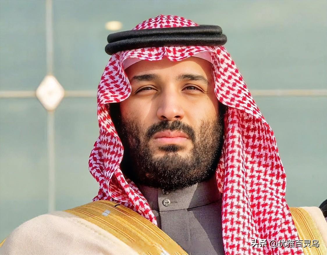 刚才翻到沙特的消息，
深感这帮土豪的算盘打得确实精。

那边霍尔木兹海峡闹腾得不