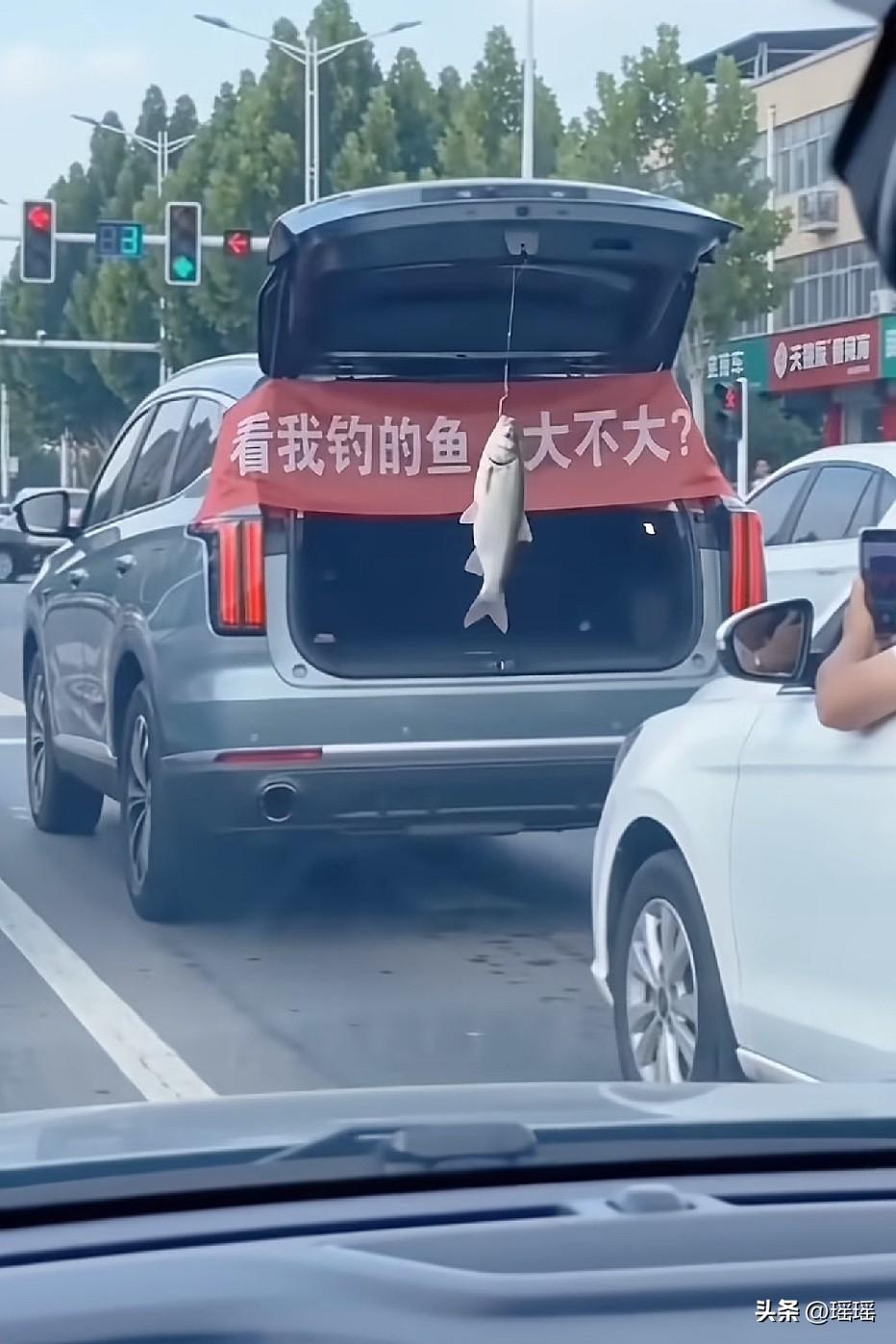 我就不信交警大哥不找你[呲牙][呲牙][呲牙]