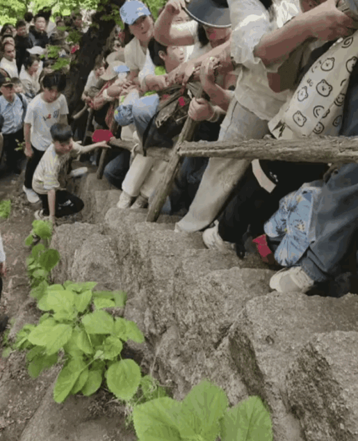 这哪里是在旅游，分明是来受罪的。