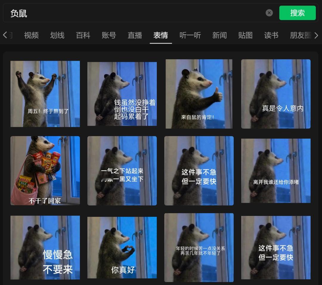 【最近爆火的表情包竟然是它？】最近一只小动物，突然杀入了表情包圈——只见它眼神放
