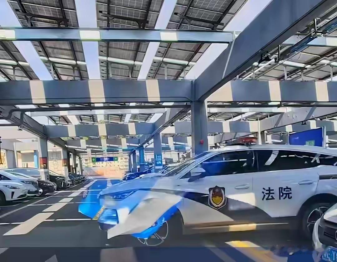 最近“法院警车在150公里外山姆购物”这事闹得沸沸扬扬。一辆粤R牌照的法院警车出