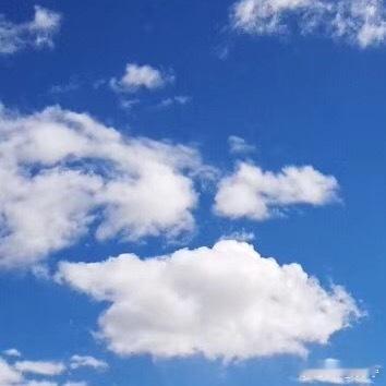 森林驿站 | 阳光信用 每日‎一善 你今天的努力，是幸运的伏笔，当下的付出，是明