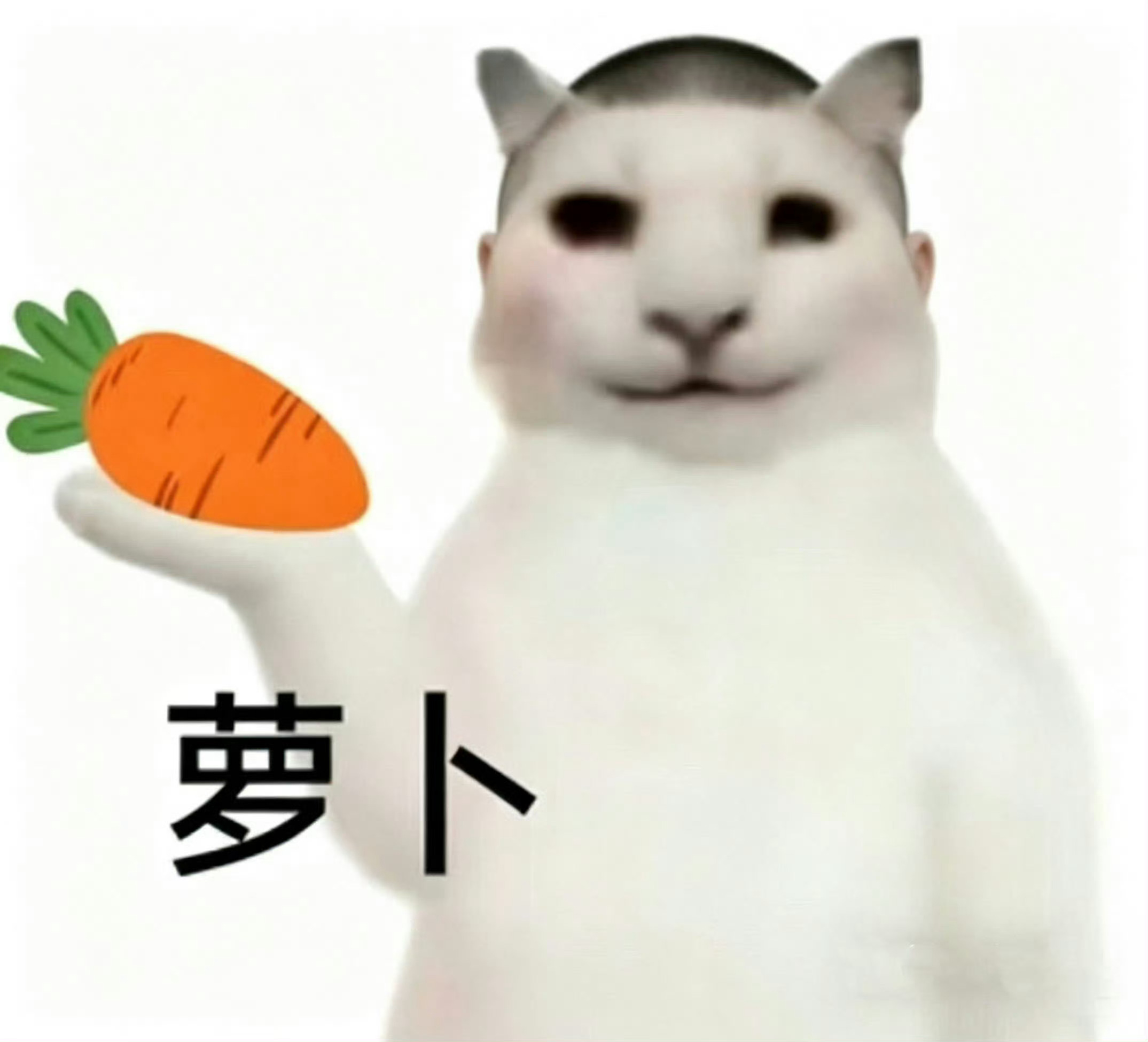 任嘉伦单扛剧实力❌来打假了！萝卜神驾到 通通闪开‼️ 佳偶天成回款被打假 ​​​