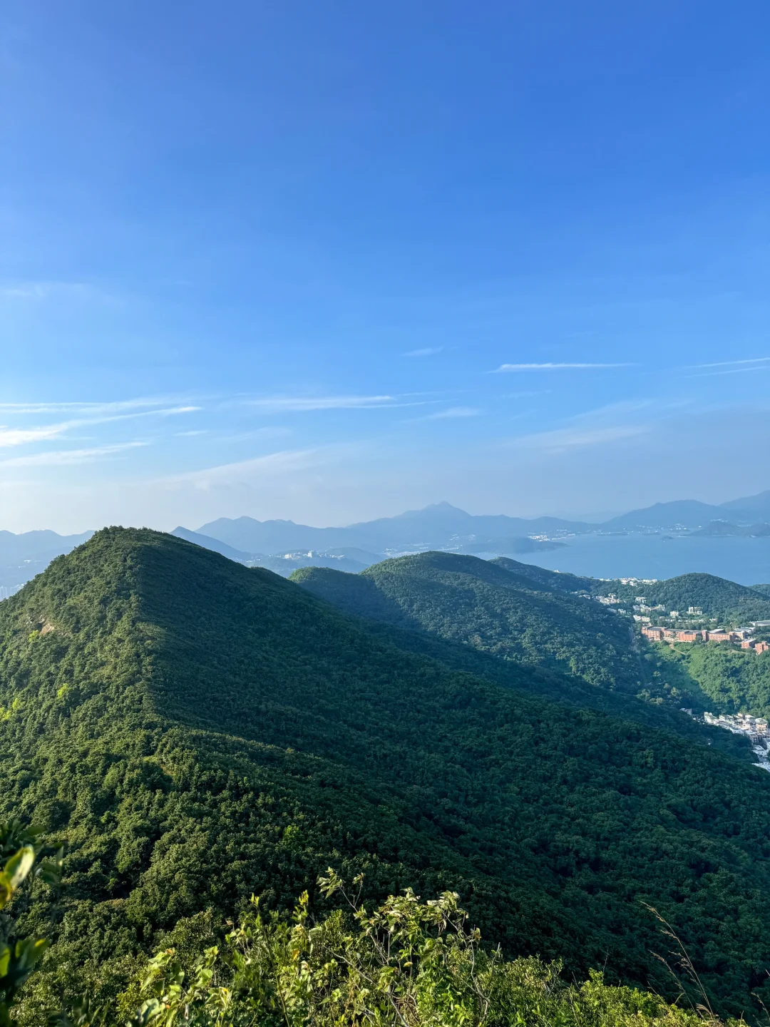 在香港🇭🇰钓鱼翁，找到了我的精神保护所