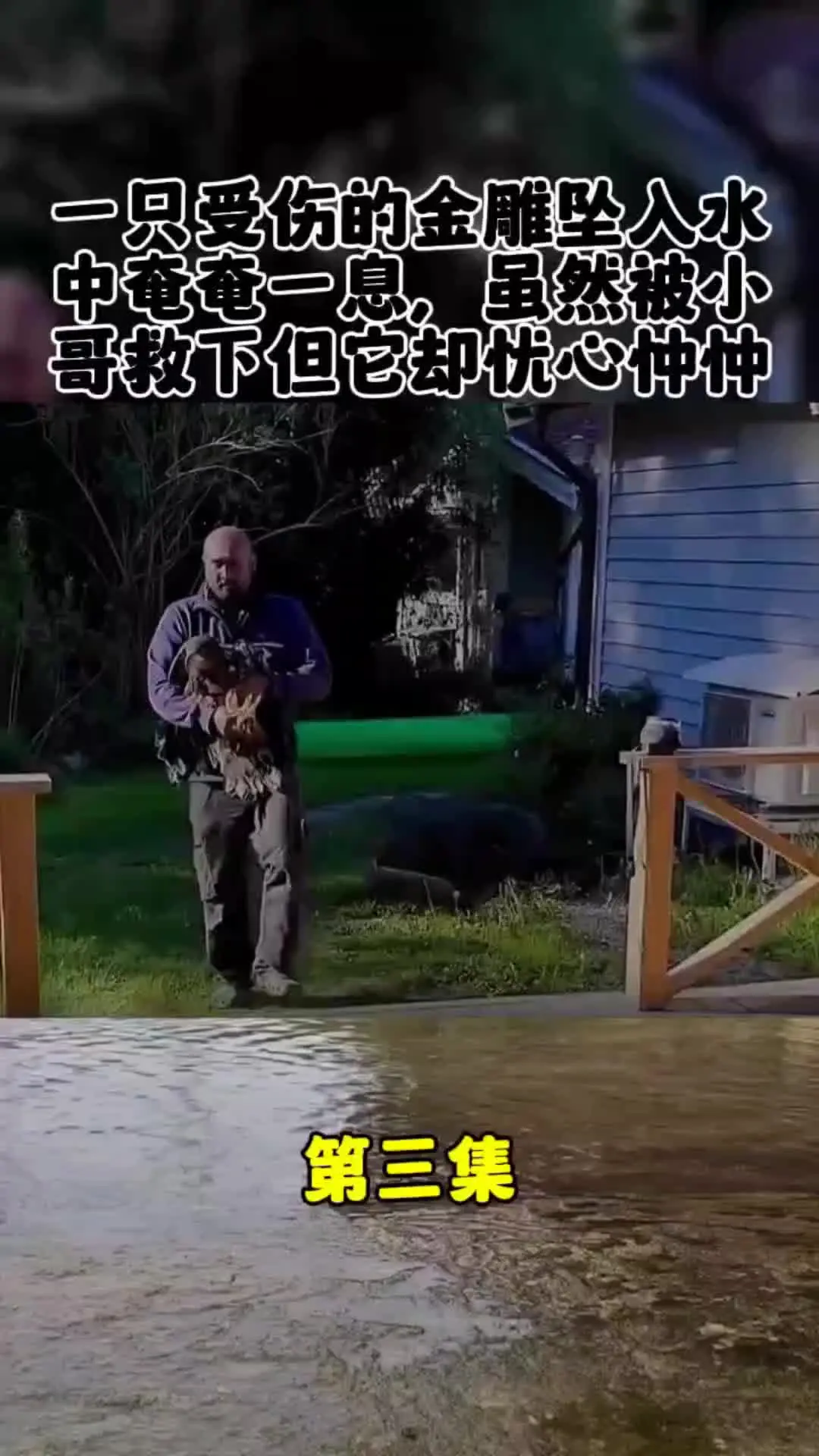 动物世界 动物的迷惑行为 我的观影报告 内容启发搜索