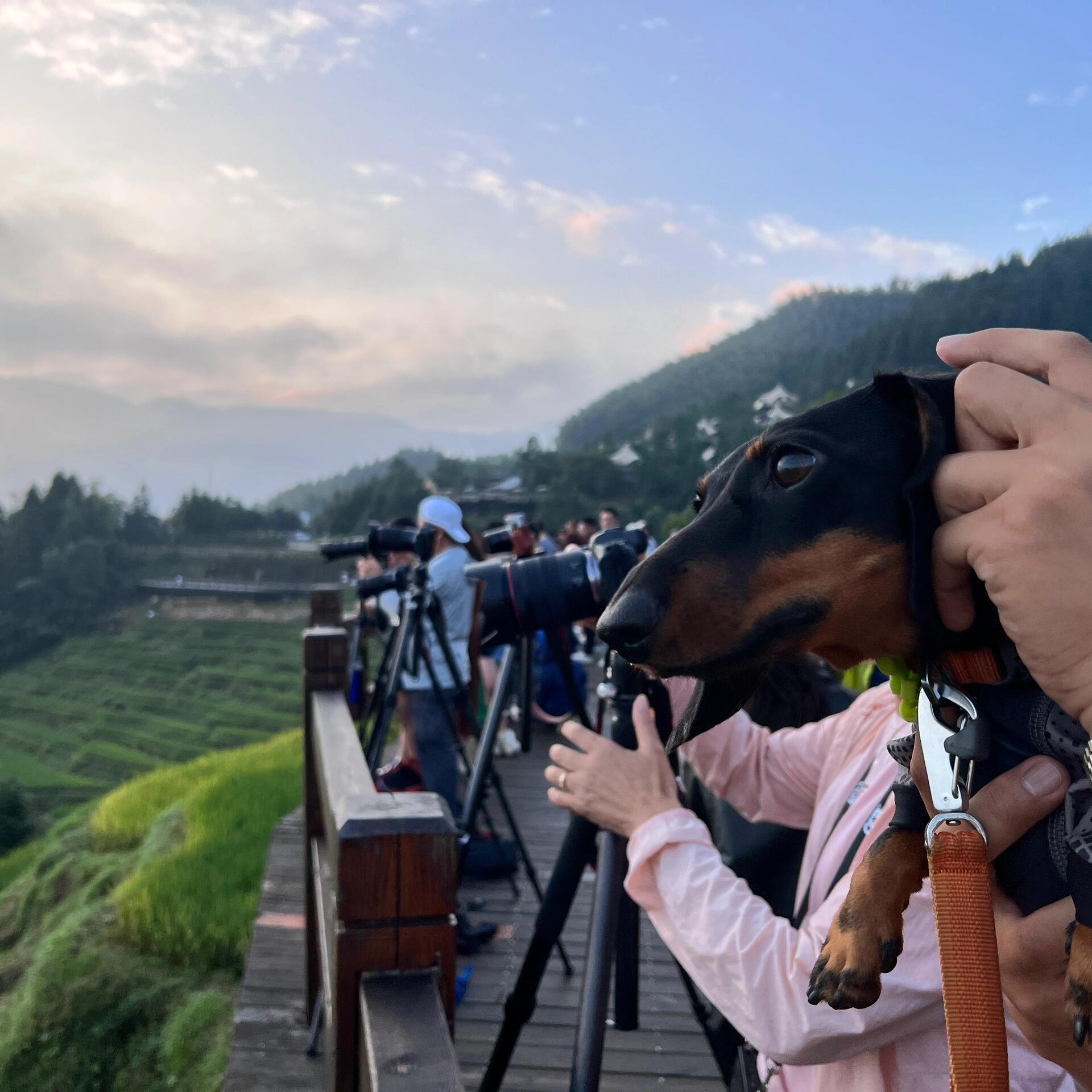 国庆旅游假装有单反相机 ​​​