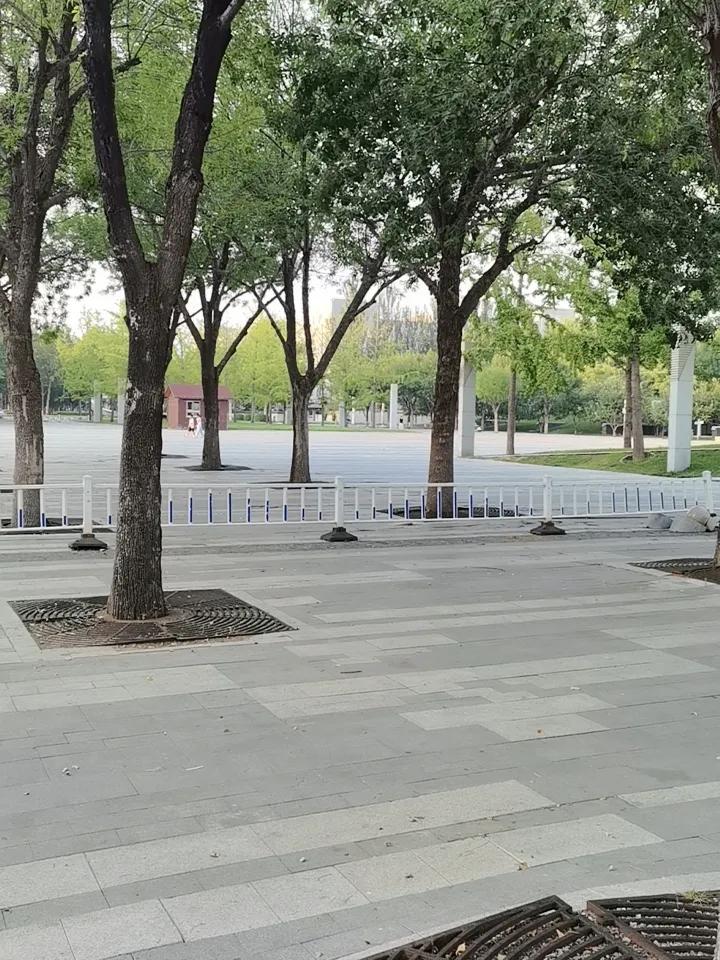 载歌载舞。
