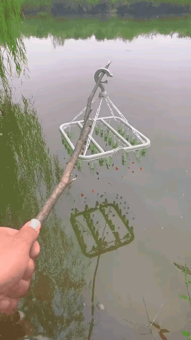 大神巧用衣架钓鱼🎣，一次性就可以解决好几条鱼，真的没有比这个效率更高的钓鱼方式