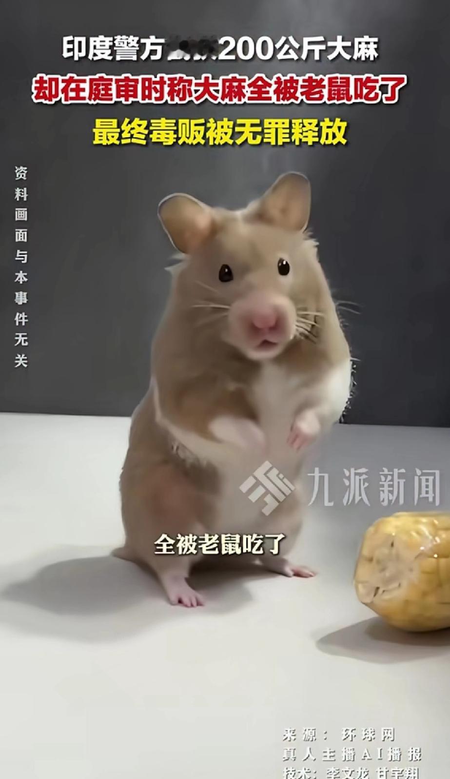 印度警方截获200公斤大麻，却在庭审时大麻全被老鼠吃掉了。
“最终毒贩被无罪释放