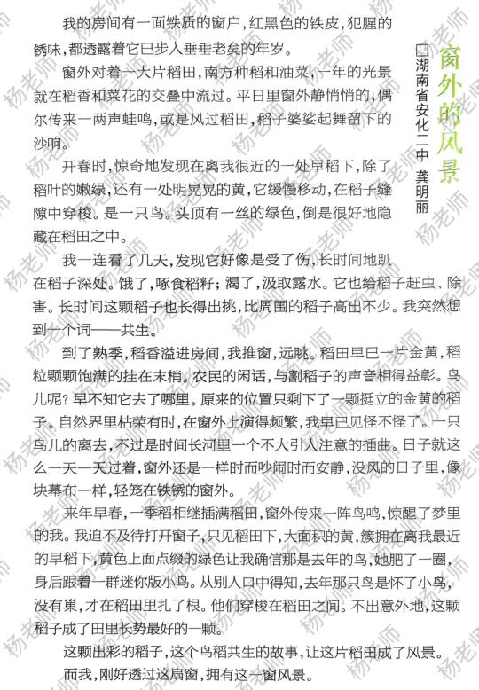 高分作文素材：窗外+风景+共生