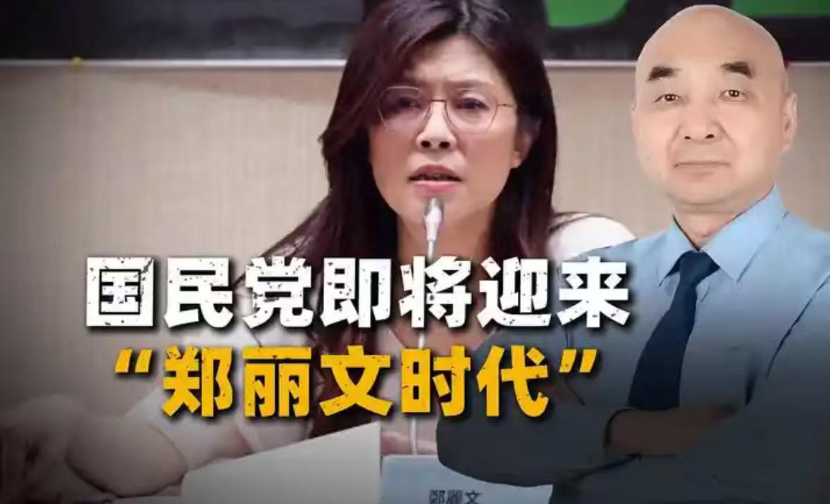 郑丽文上台后，开始对国民党进行一系列改革，
试图回到马英九时代，推动两岸交流与合