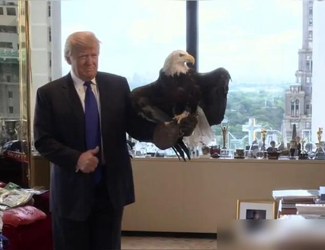 特朗普再犯错！利好中华！

最近看到个消息，特朗普又整了个大动作——宣布要永久暂