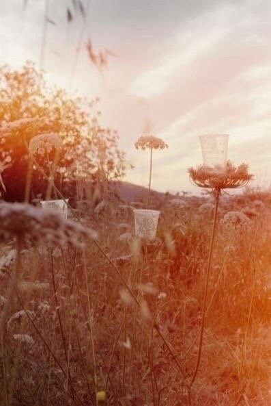 “考虑别人的感受之前，不妨先考虑一下别人有没有考虑你的感受。”——科尔姆·托宾 