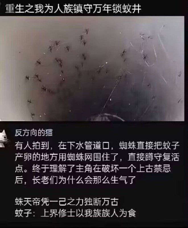谢谢蛛天帝😭 