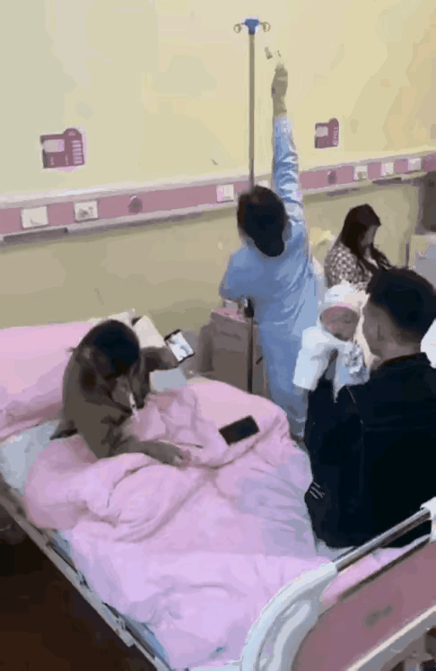 护士有点缺心眼，病人家属脑子进水了，哈哈！