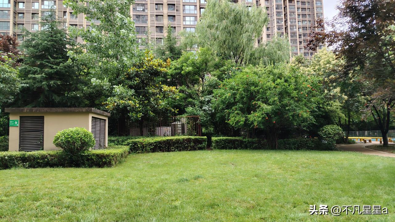单位打电话叫我去开会，路上，我和迎面走来的老公擦身而过。他没看到我，我也假装没看