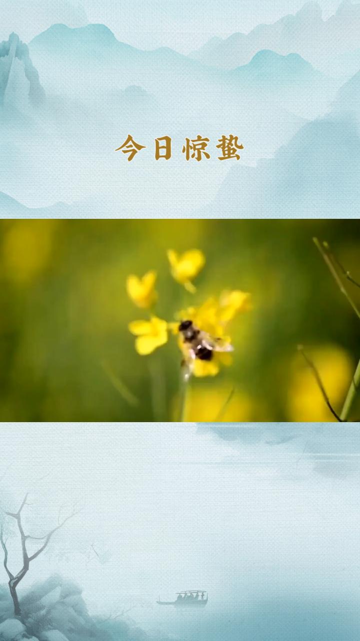今日惊蛰，春雷唤醒沉睡的大地，万物复苏，你准备好了吗？
今日惊蛰，标志着春天正式