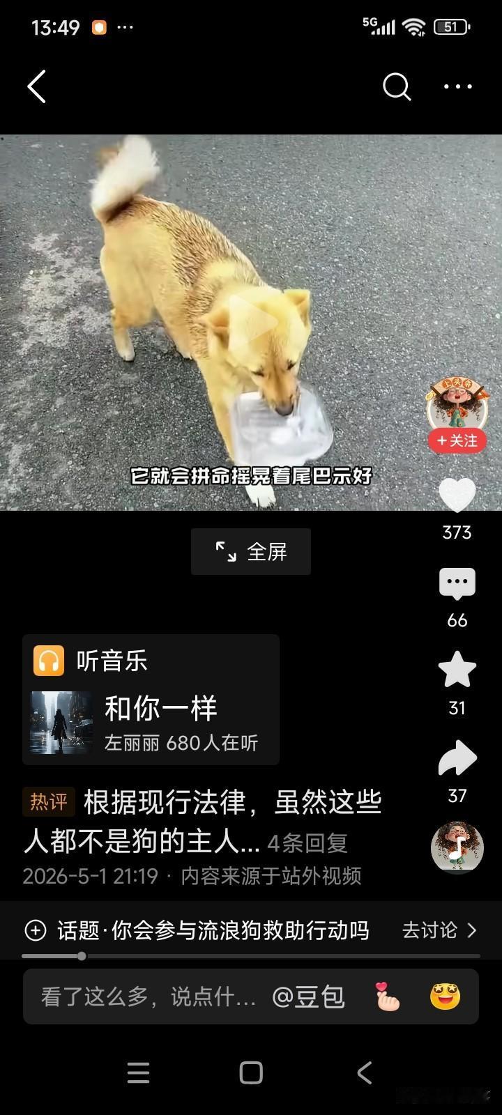 安徽宣城，高铁站附近有一只黄色的流浪狗，它性情极为温顺。出租车司机和网约车司机都