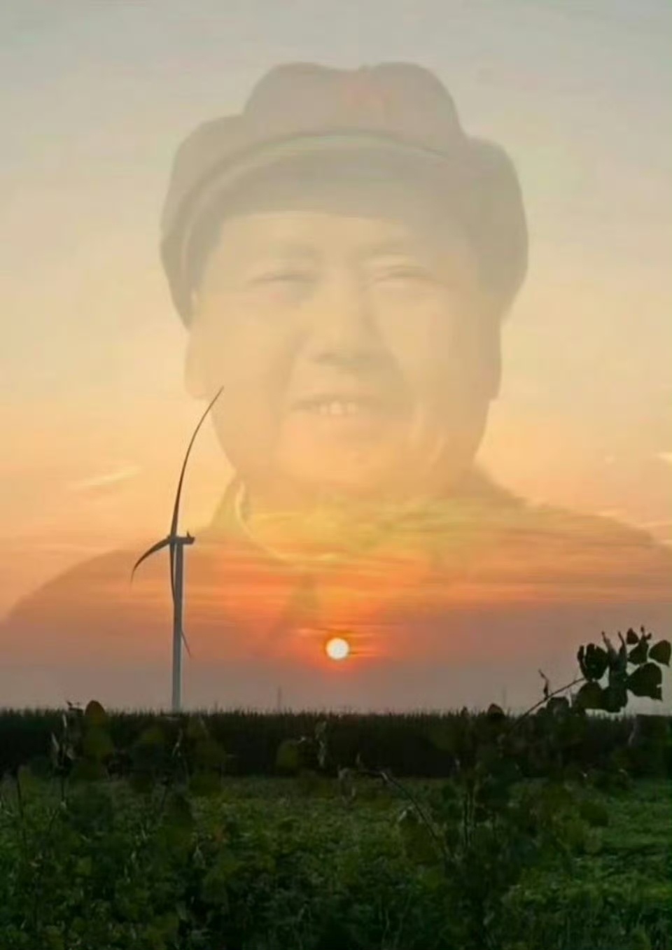 小时候，你怀着崇敬的眼光，把爸爸当成神看，觉得他高大无比。等你青年了，你觉得爸爸