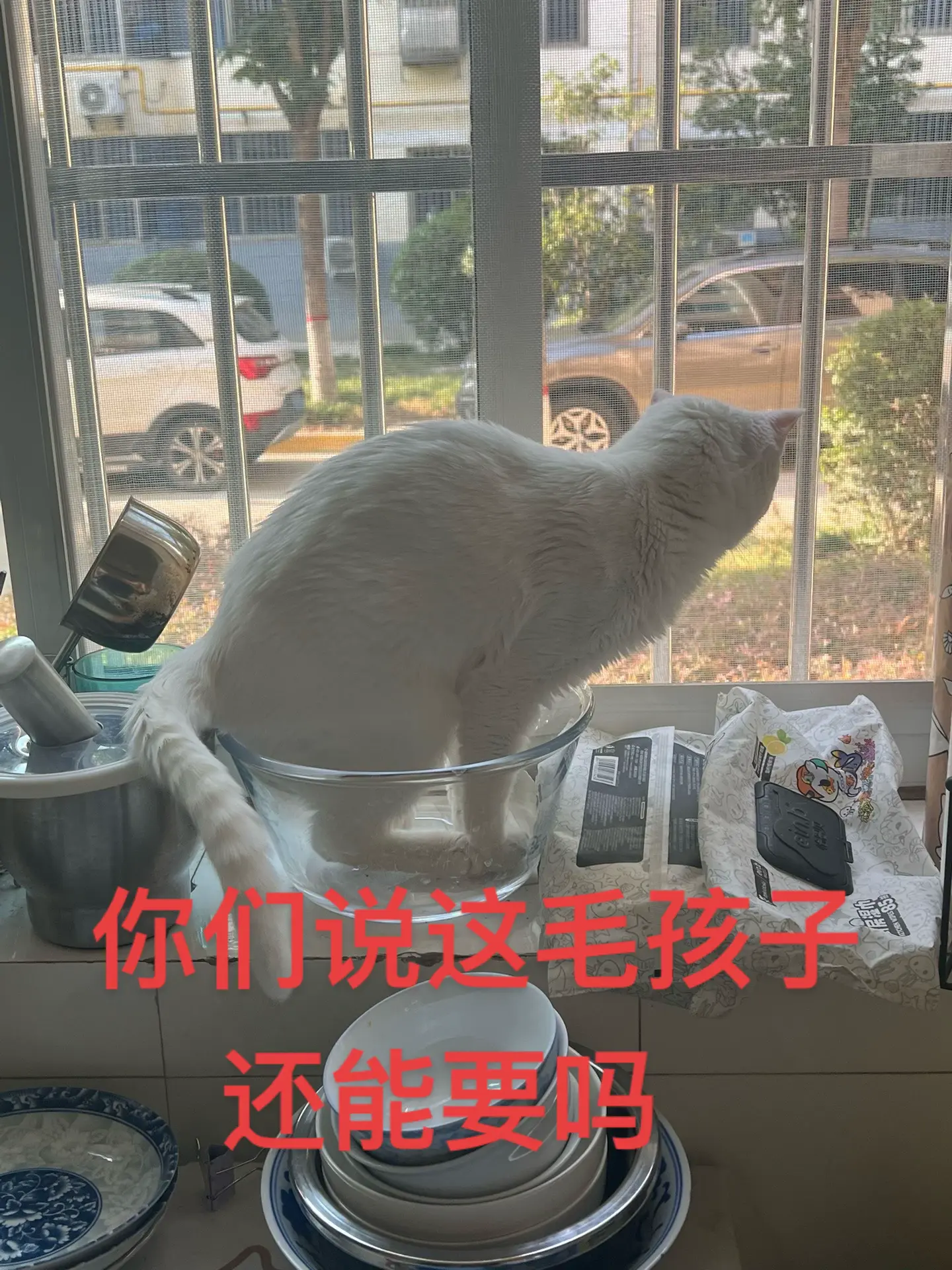 坐到盆里回头看