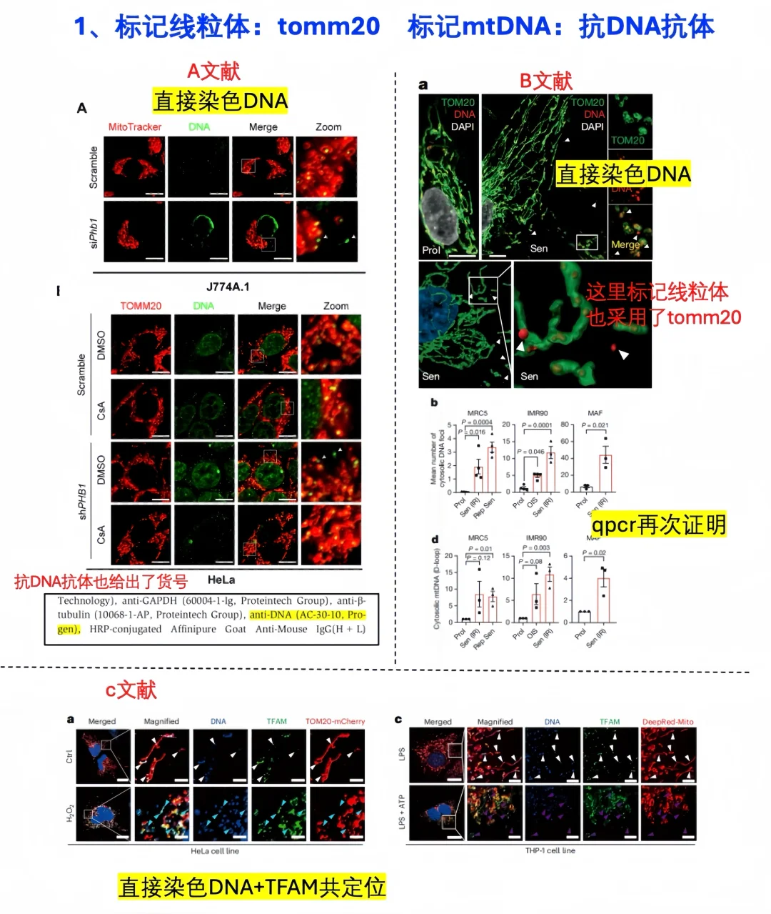 🌟mtDNA检测方法学汇总～（涉及多篇文献）