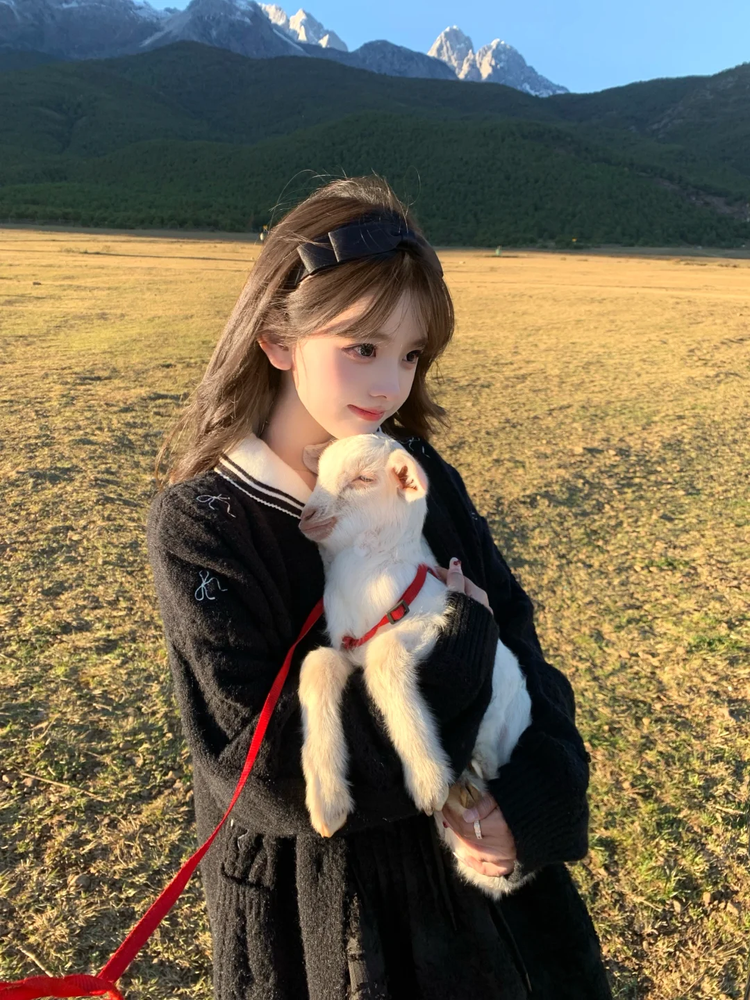 🐑 Z☡zᶻ