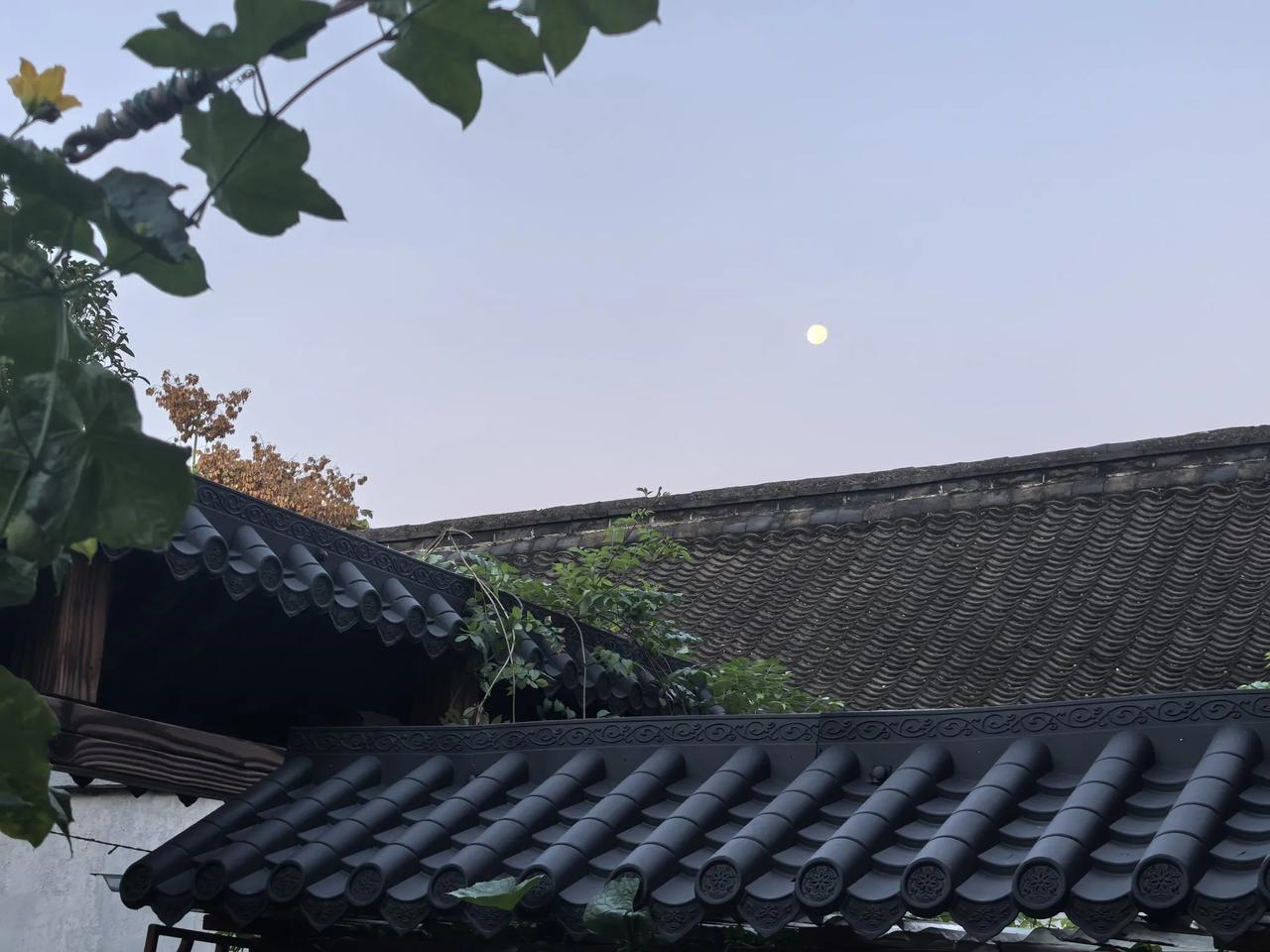 池边听鸟语；求下联
下联：树下读书郎。