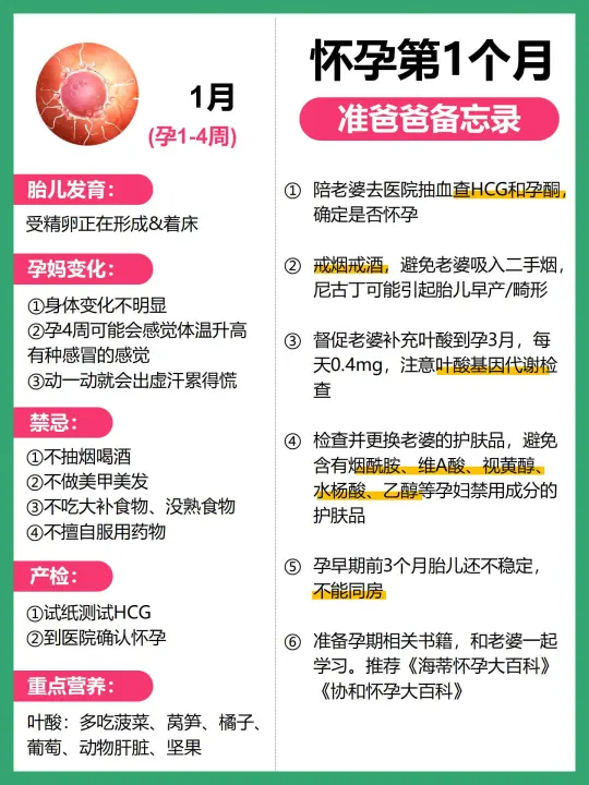 老婆怀孕了，准爸爸能做什么？快转给老公