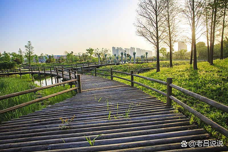 你知道为啥这两年城里下暴雨不再“看海”了吗？这得从一个叫俞孔坚的北大教授说起。9