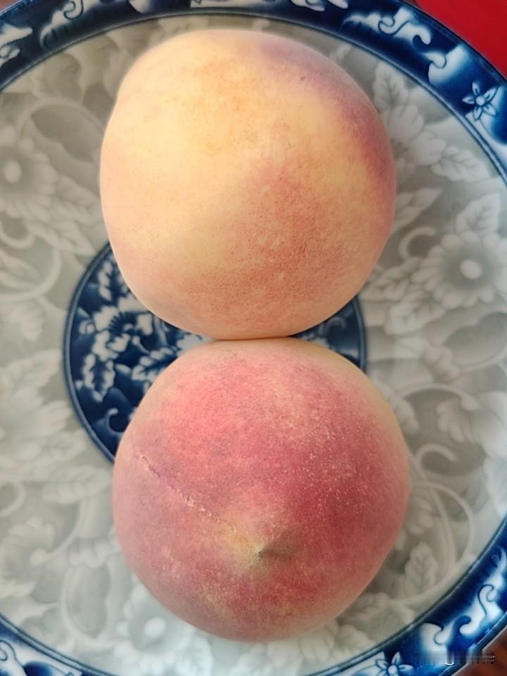 今年的桃子长得又大又好吃！你认识是什么品种吗？