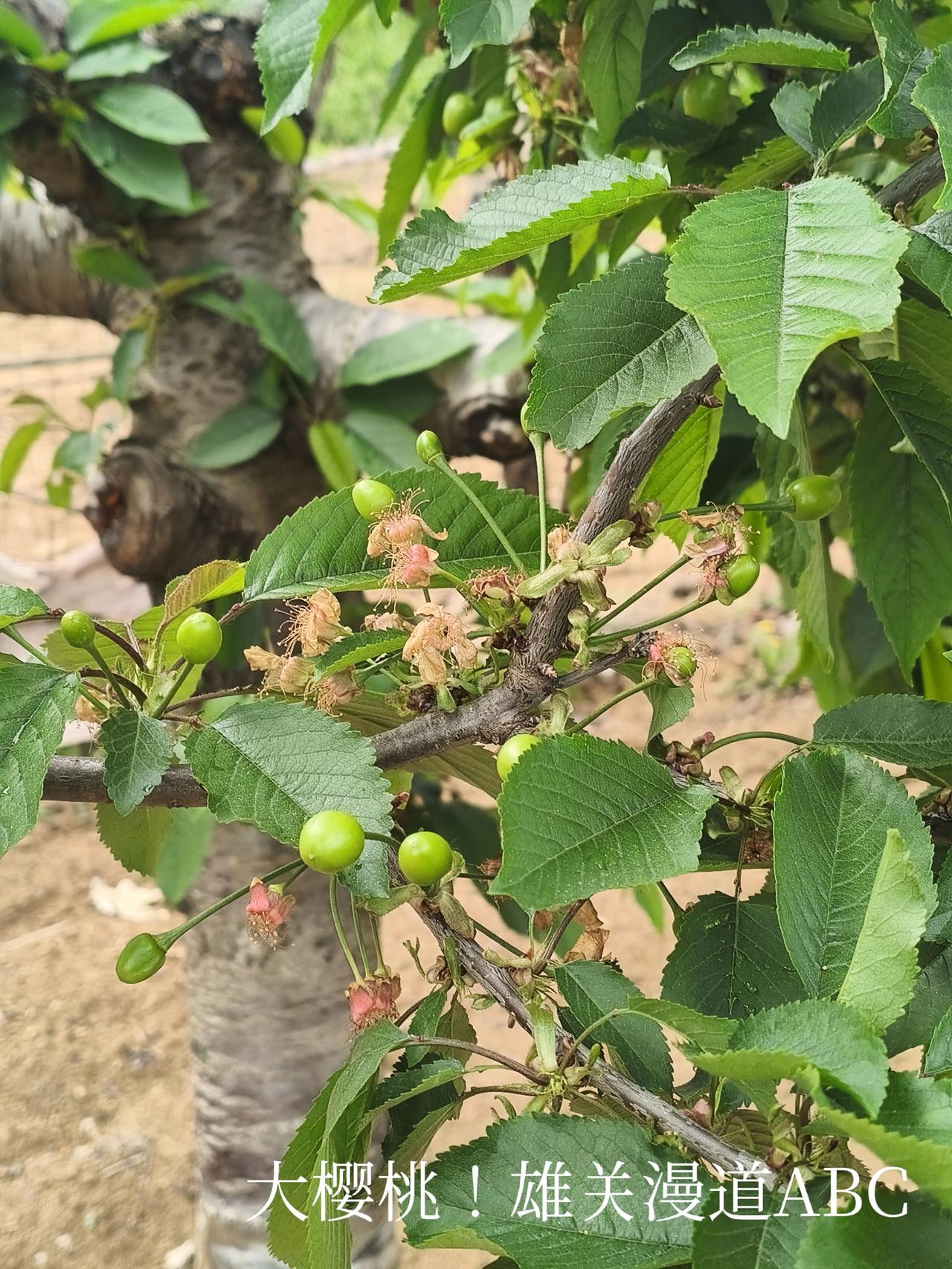 雾散山峰秀，
光照云天开。
头条首发