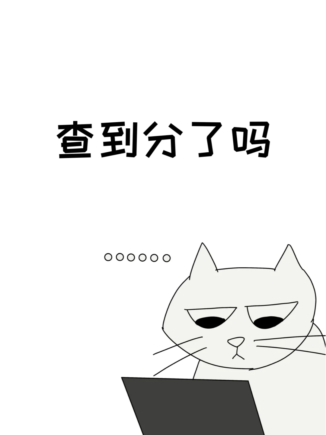 听说凌晨已经有同学查到分数了