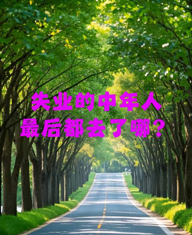 越来越多失业的中年人，最后都去哪了？
