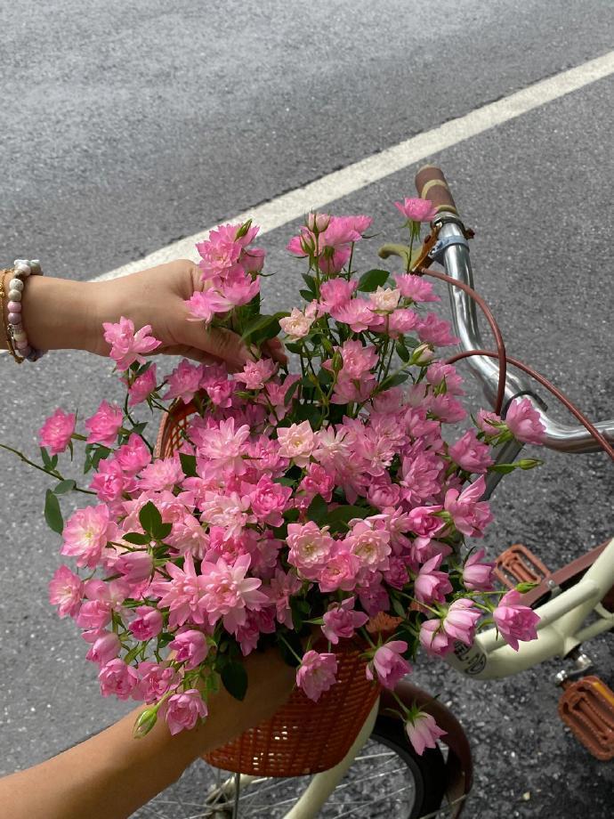 ✿且喜且乐，且以温柔待此生🧡 