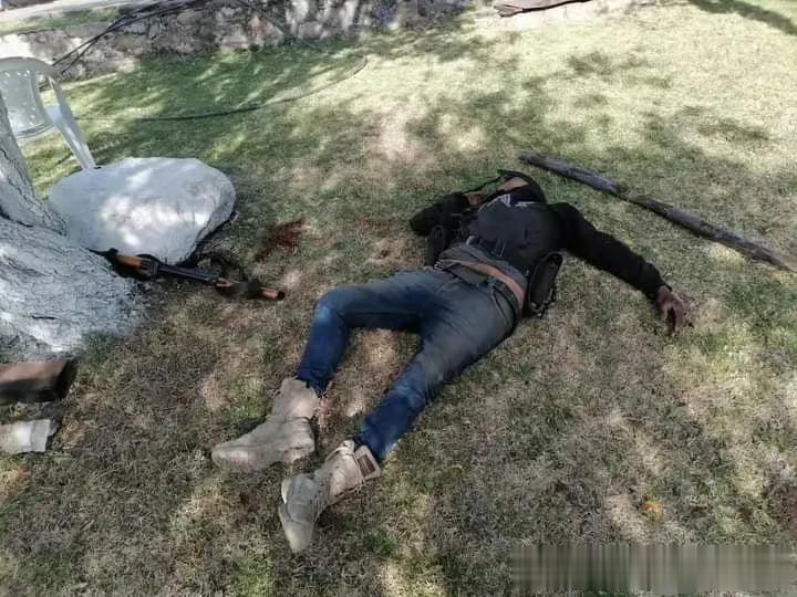 警察战死，毒贩遭全歼！
前几天，墨西哥爆发了一场激烈的枪战，前后有一百多名警察和
