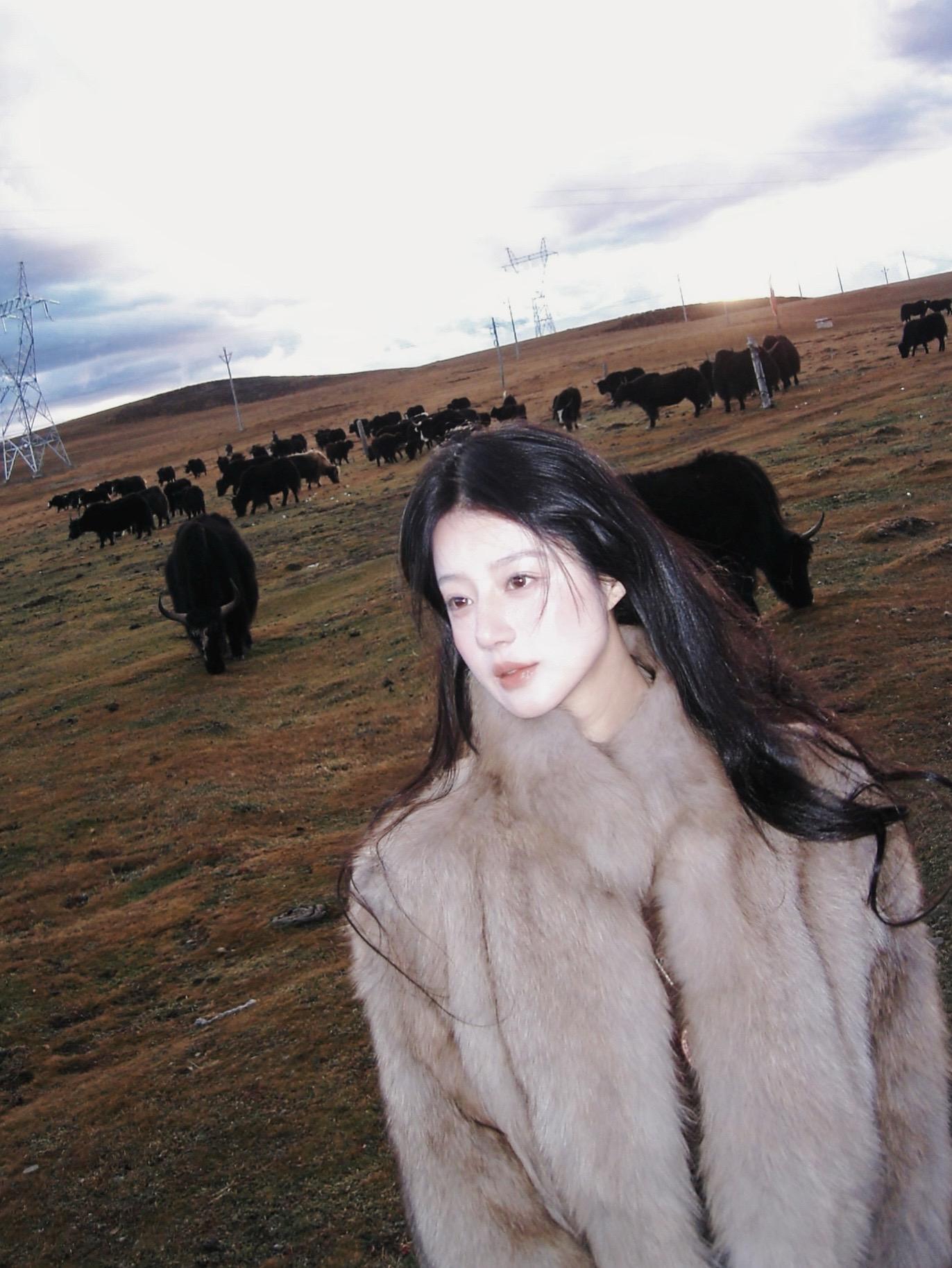 执念开始消失的时候 平静的幸福贯穿我的每分每秒