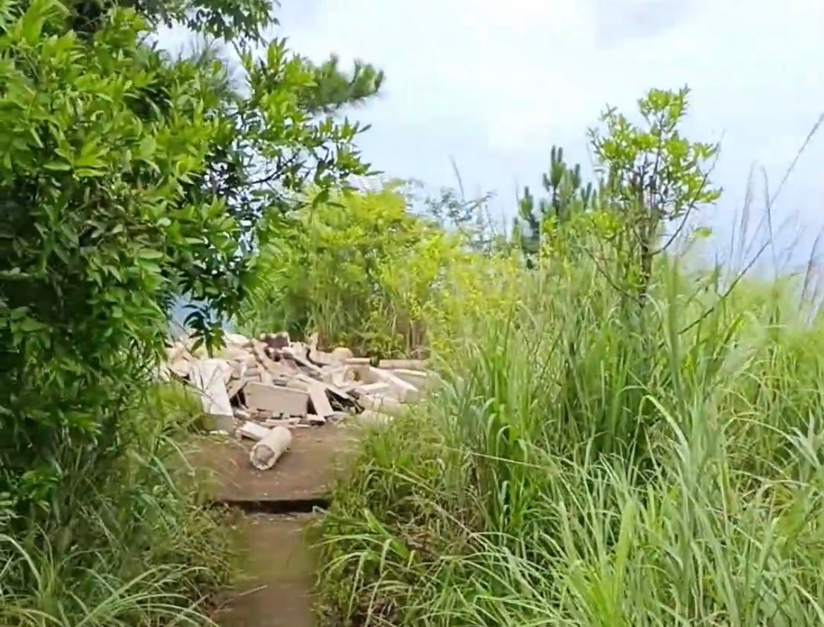 近日，网友反映：玉林某山上的凉亭塌在地上了，这是人为的呢？还是什么原因？同城热点