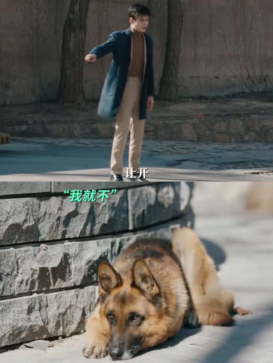 🆘他真的在和狗聊天啊❗