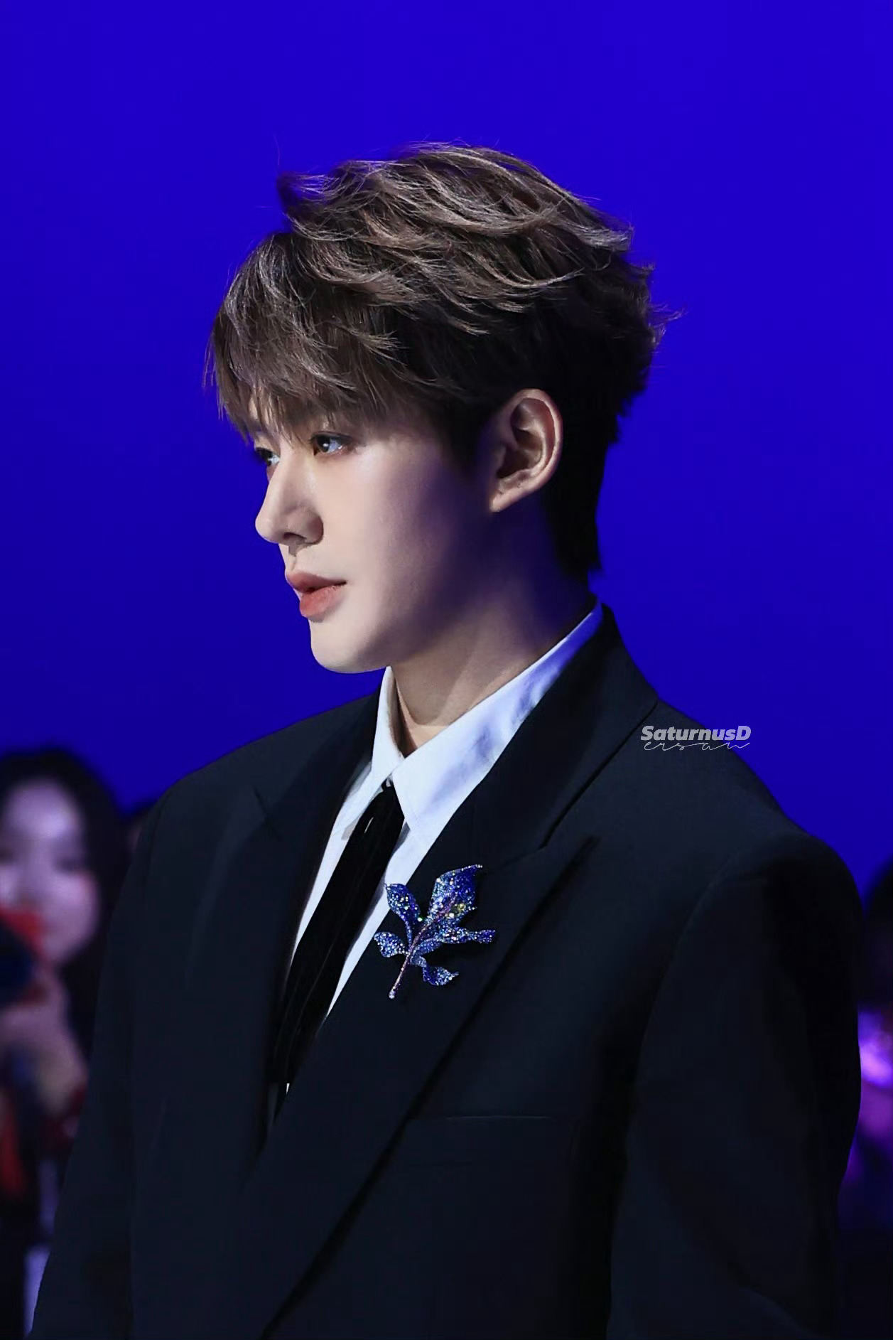 邓为潘婷奢护代言人 ·微博年度星光人物 星河滚烫，你是人间理想；世事无常，你是人