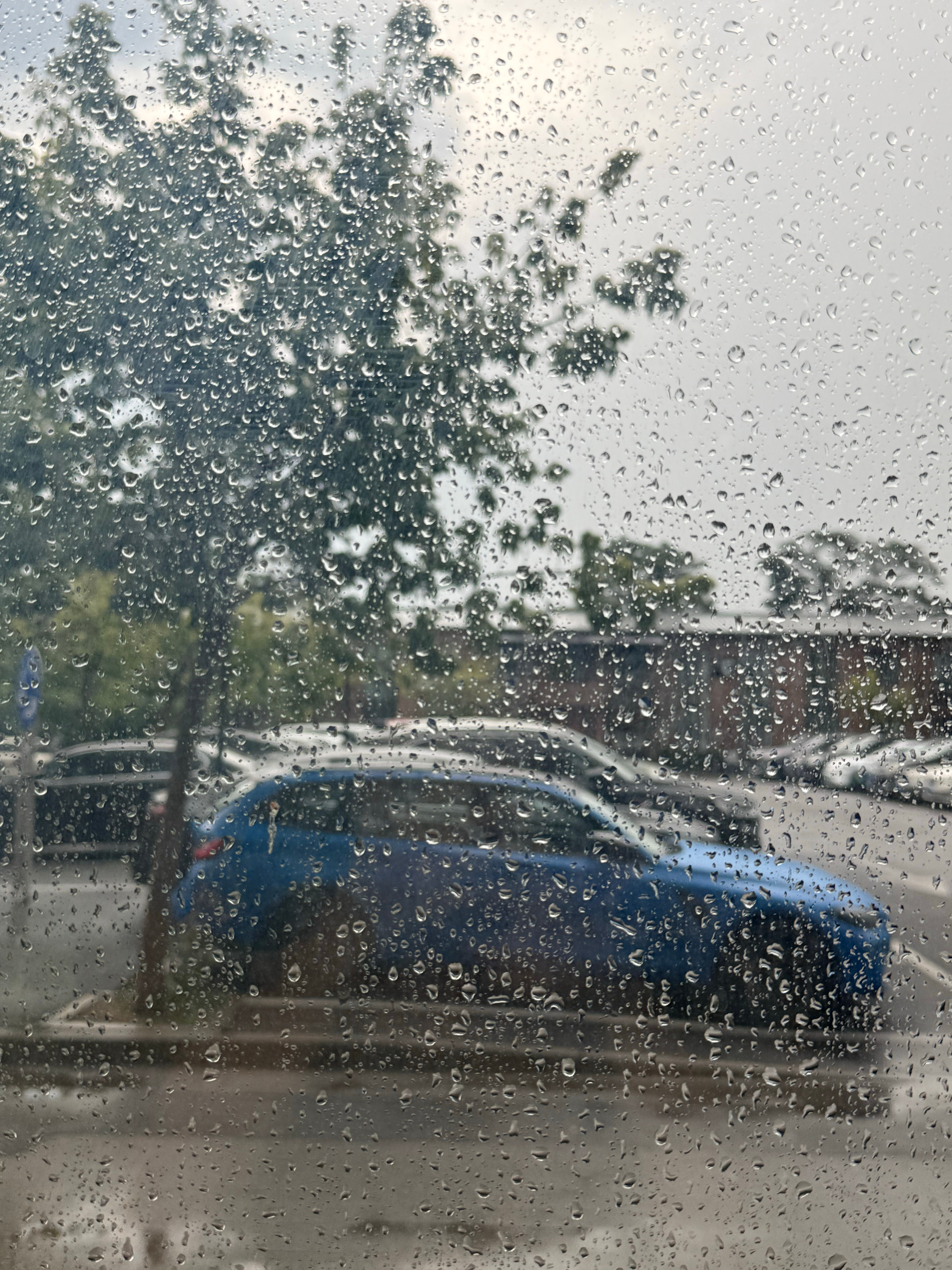 最近雨挺多挺大的，出门记得带沐浴露啊🧴 