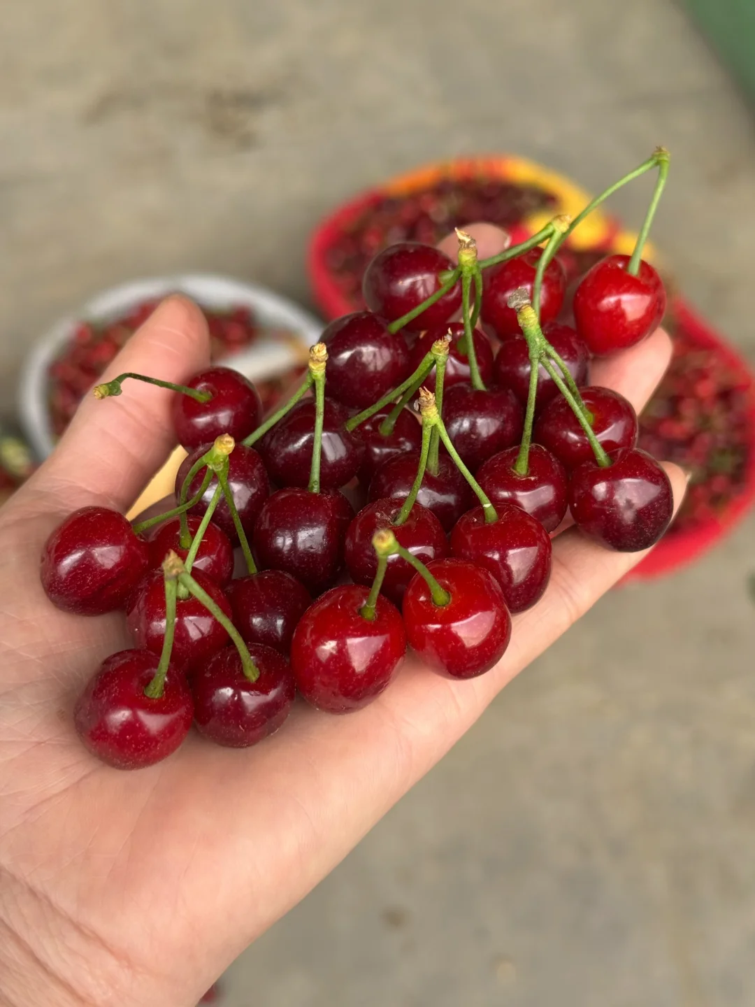 红的发黑了，现在的口感最甜，错过了就明年了