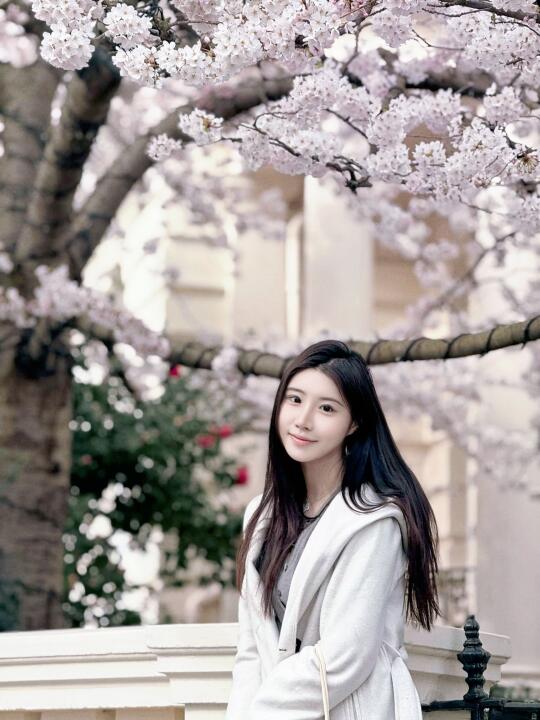 🌸Sakura in London .･ﾟﾟ･(／ω＼)･ﾟﾟ･.