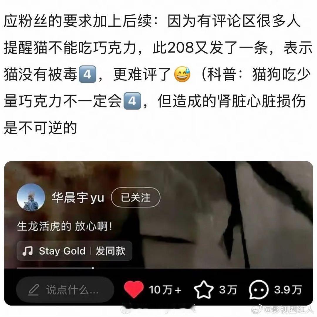 华晨宇又发了一条视频证明猫没事华晨宇发视频证明猫没事 华晨宇又发了一条视频证明猫